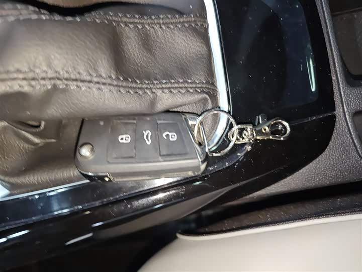 Volkswagen T-Roc 2024 2024款 300TSI DSG两驱辰光版