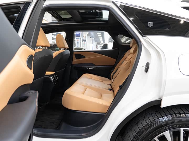 Lexus RX Hybrid 2023 2023款 450h+ 四驱畅享版