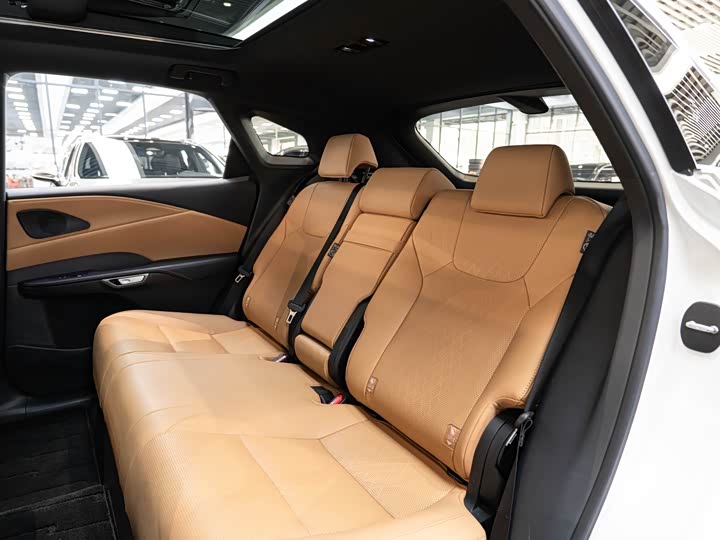 Lexus RX Hybrid 2023 2023款 450h+ 四驱畅享版