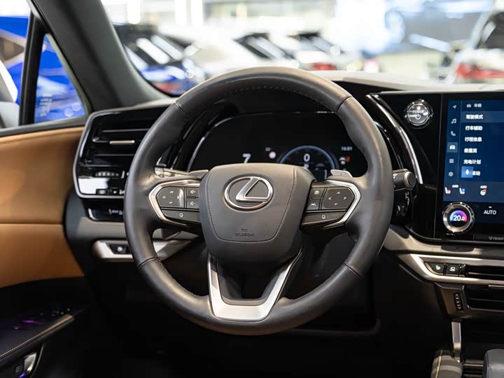 Lexus RX Hybrid 2023 2023款 450h+ 四驱畅享版