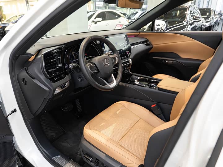 Lexus RX Hybrid 2023 2023款 450h+ 四驱畅享版