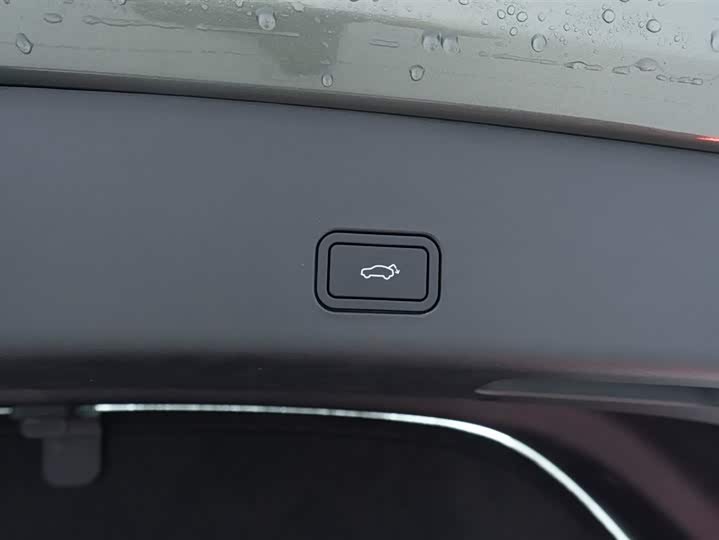 Zeekr 001 2025 2025款 WE版 100kWh 后驱