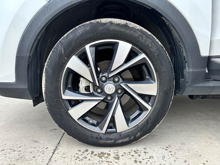 Changan CS55 EV 2020 2020款 标准续航 智悦版