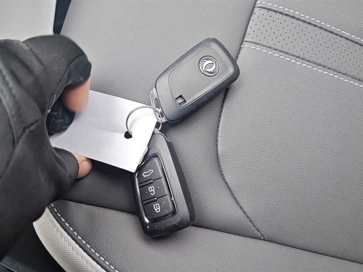 Dongfeng Aeolus E70 2021 2021款 500 Pro 超享版