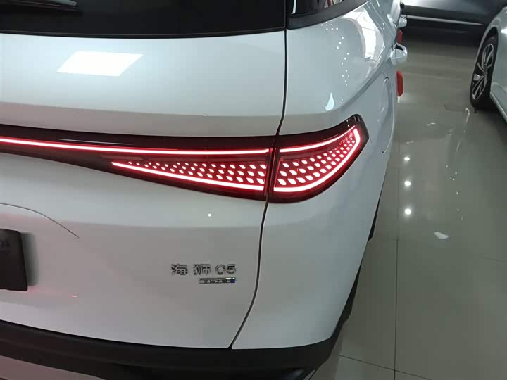 BYD Sea Lion 05 DM-i Hybrid 2025 2025款 DM-i 智驾版 115KM旗舰型