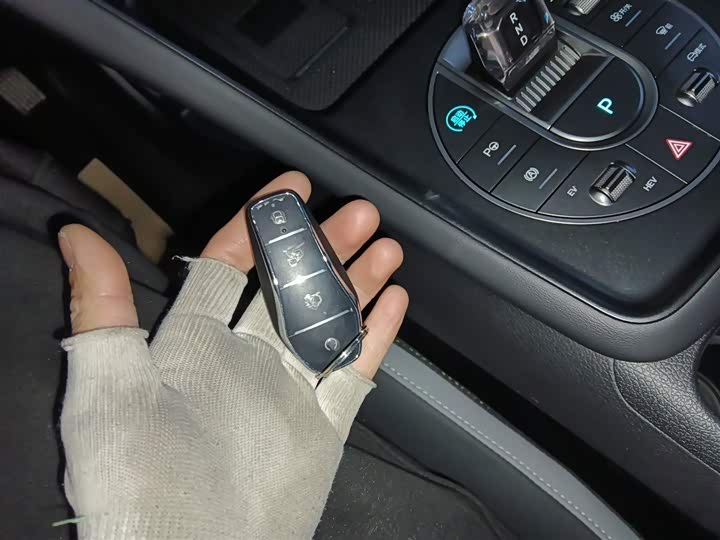 BYD Sea Lion 05 DM-i Hybrid 2025 2025款 DM-i 智驾版 115KM旗舰型