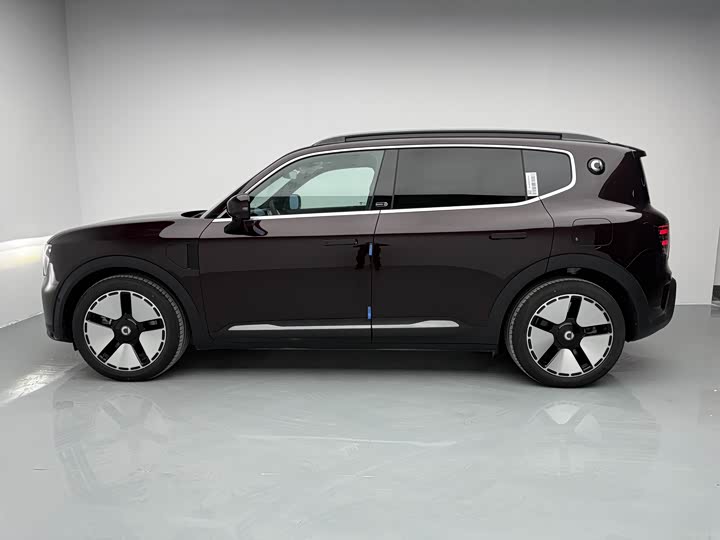 Smart #5 2024 2024款 长续航奇旅 豪华版