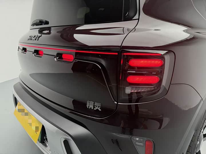 Smart #5 2024 2024款 长续航奇旅 豪华版