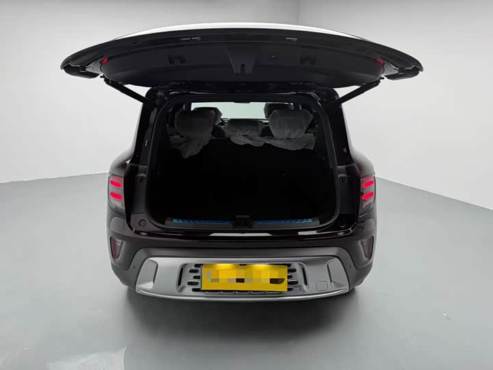 Smart #5 2024 2024款 长续航奇旅 豪华版