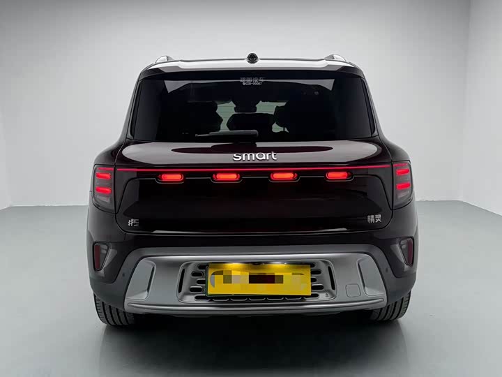 Smart #5 2024 2024款 长续航奇旅 豪华版