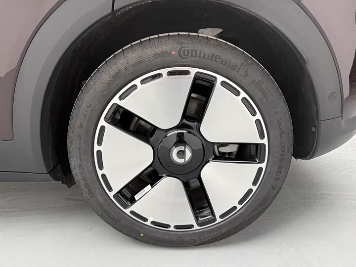 Smart #5 2024 2024款 长续航奇旅 豪华版