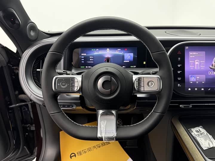 Smart #5 2024 2024款 长续航奇旅 豪华版