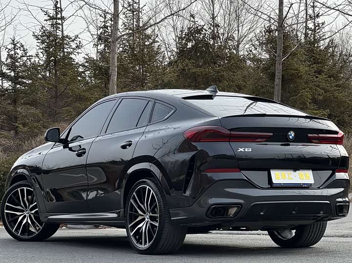 BMW X6 2023 2023款 xDrive40i 尊享型 M运动套装