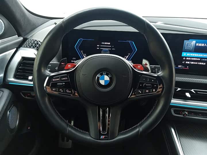 BMW XM 2023 2023款 基本型