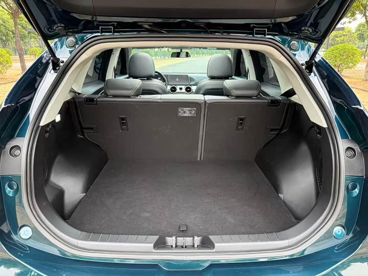 Dongfeng Forthing T5 EVO 2024 2024款 狂飚版 1.5TD DCT铂金款