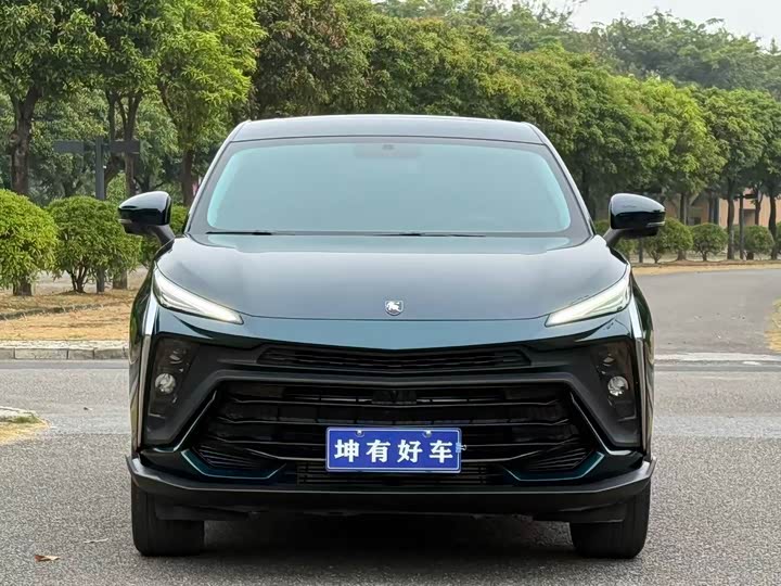 Dongfeng Forthing T5 EVO 2024 2024款 狂飚版 1.5TD DCT铂金款