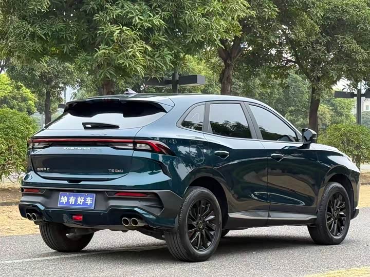 Dongfeng Forthing T5 EVO 2024 2024款 狂飚版 1.5TD DCT铂金款