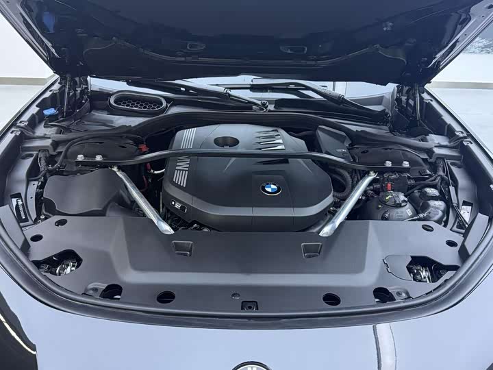 BMW 7 Series 2023 2023款 735Li M运动套装