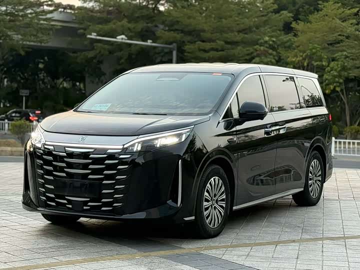 BYD Xia 2025 2025款 DM-i 1.5T 180km 超越型