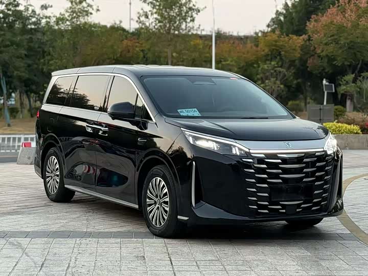 BYD Xia 2025 2025款 DM-i 1.5T 180km 超越型