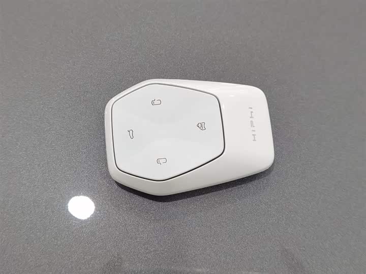 HiPhi Y 2023 2023款 560km 先锋版