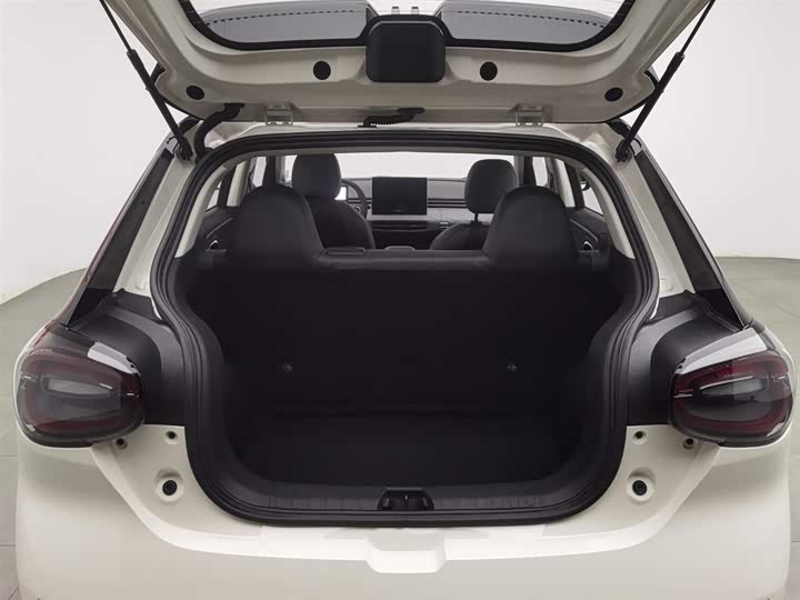 Dongfeng Nammi 01 2024 2024款 共创版 共创WE版