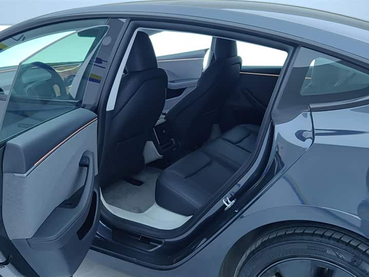 Tesla Model 3 2025 2025款 后轮驱动版