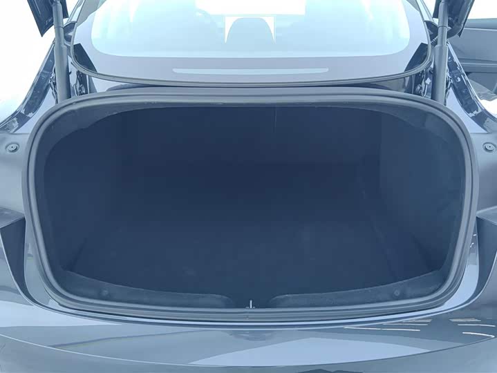 Tesla Model 3 2025 2025款 后轮驱动版