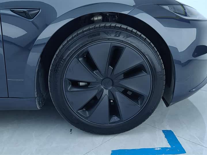 Tesla Model 3 2025 2025款 后轮驱动版