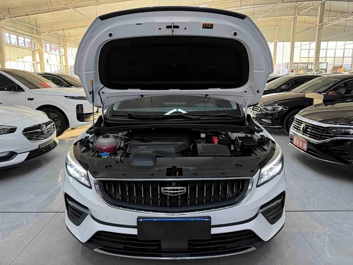 Geely Emgrand GS 2021 2021款 1.4T CVT旗舰型