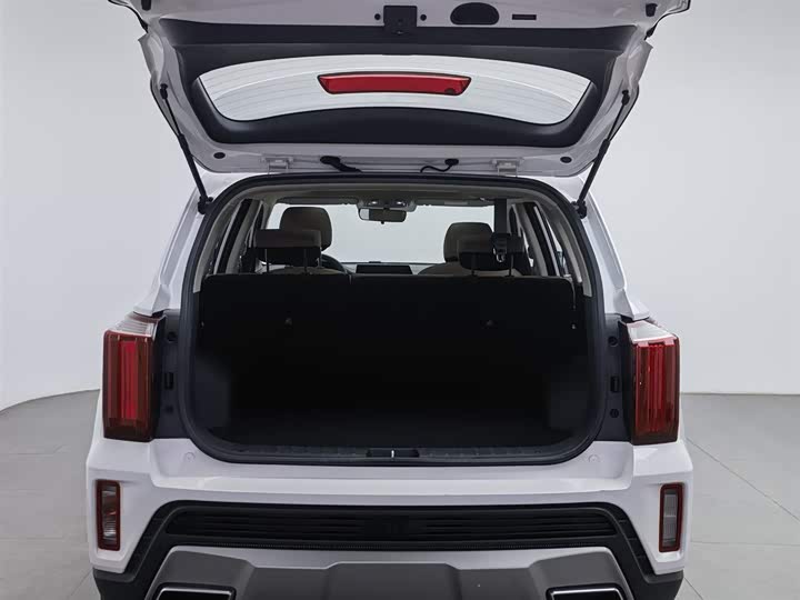 Kia Sportage GT-line 2021 2021款 Ace 2.0L 精彩版