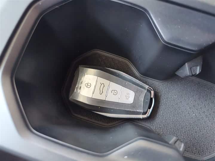 Geely Okavango Pro 2024 2024款 1.5T DCT 纵横+