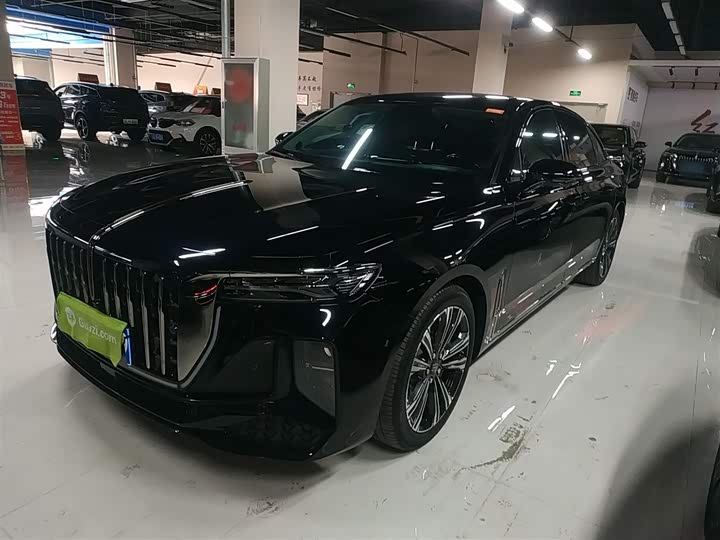 Hongqi H9 2024 2024款 2.0T 旗畅 私享风尚版