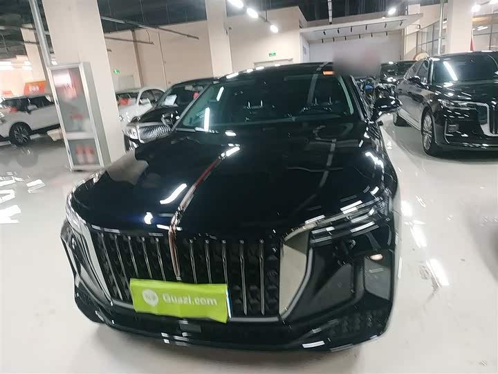 Hongqi H9 2024 2024款 2.0T 旗畅 私享风尚版