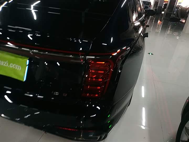 Hongqi H9 2024 2024款 2.0T 旗畅 私享风尚版