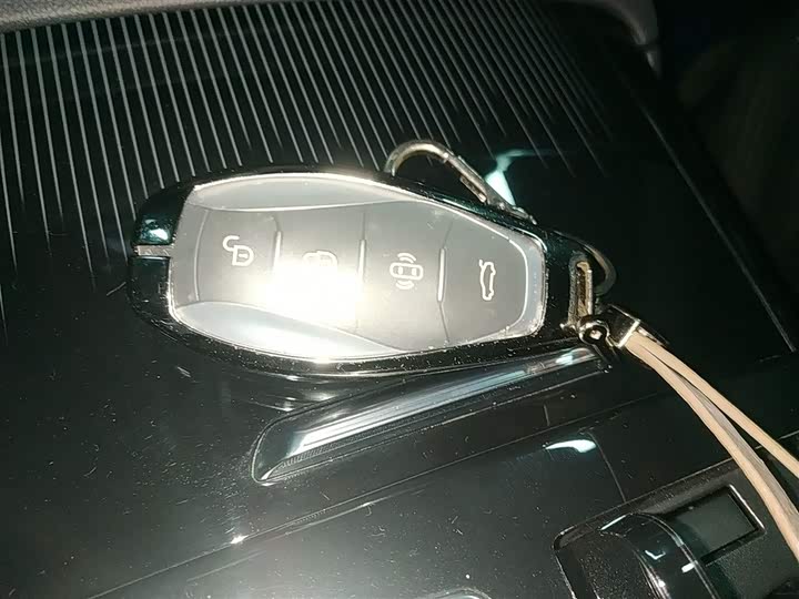 Hongqi H9 2024 2024款 2.0T 旗畅 私享风尚版