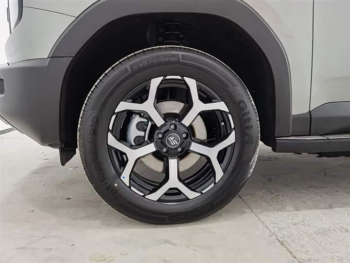 Jetour Shanhai T1 2025 2025款 150km 探索