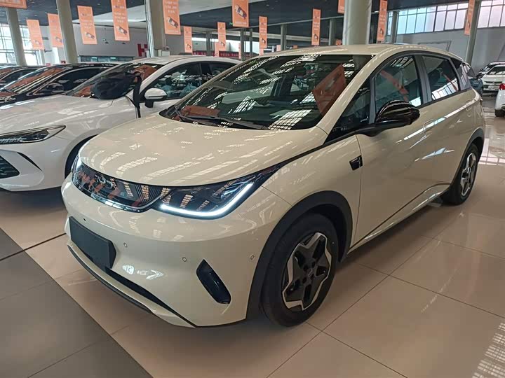 2025 BYD Dolphin