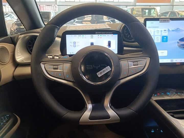 BYD Dolphin 2025 2025款 智驾版 420km 自由版