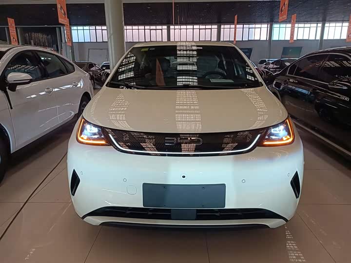 2025 BYD Dolphin