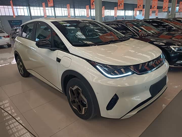 2025 BYD Dolphin