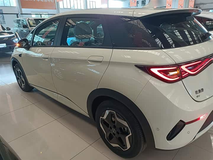 2025 BYD Dolphin