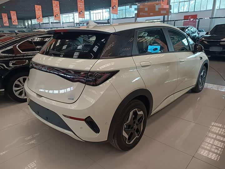 BYD Dolphin 2025 2025款 智驾版 420km 自由版