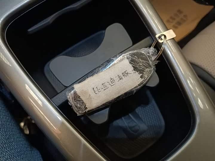 BYD Dolphin 2025 2025款 智驾版 420km 自由版