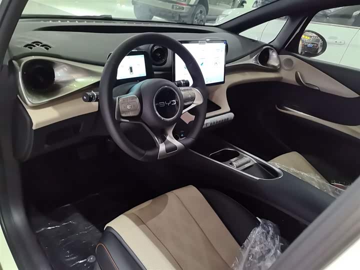 BYD Dolphin 2025 2025款 420km 自由版