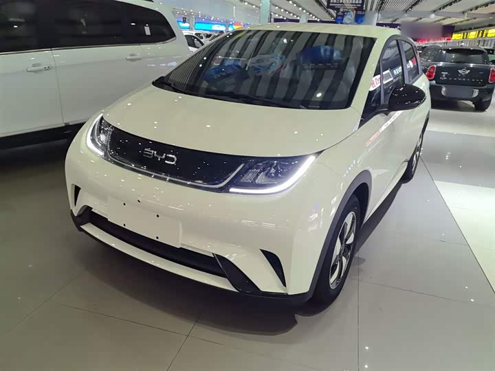 2025 BYD Dolphin