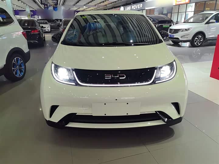 2025 BYD Dolphin