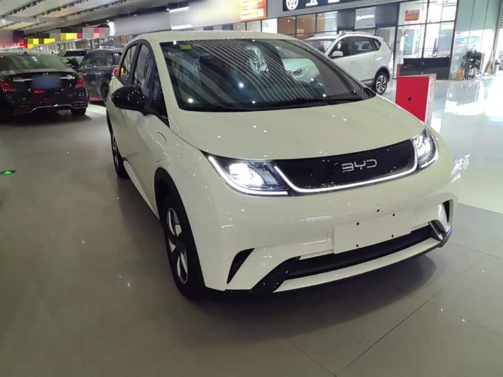 2025 BYD Dolphin