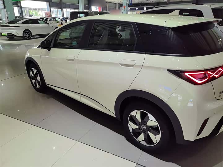 2025 BYD Dolphin