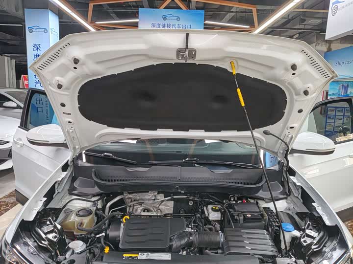 Volkswagen T-Cross 2023 2023款 改款 1.5L 自动风尚版